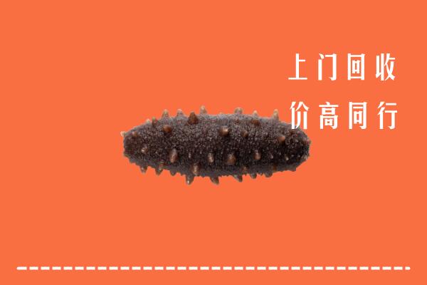高价求购：阳江市回收海参