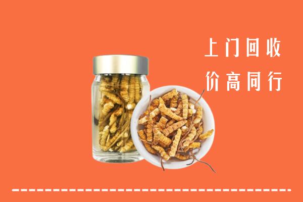 阳江市回收冬虫夏草